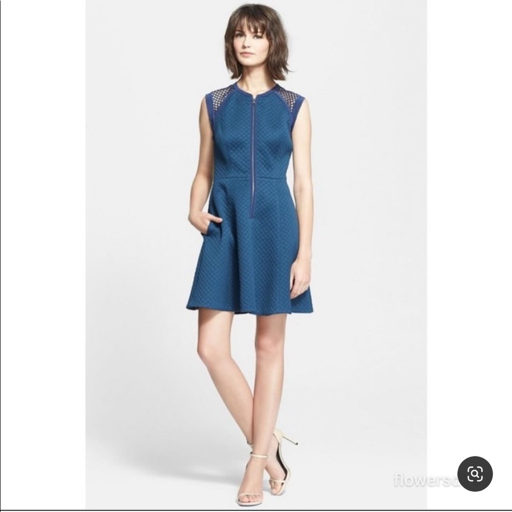Blue Rebecca Taylor dress